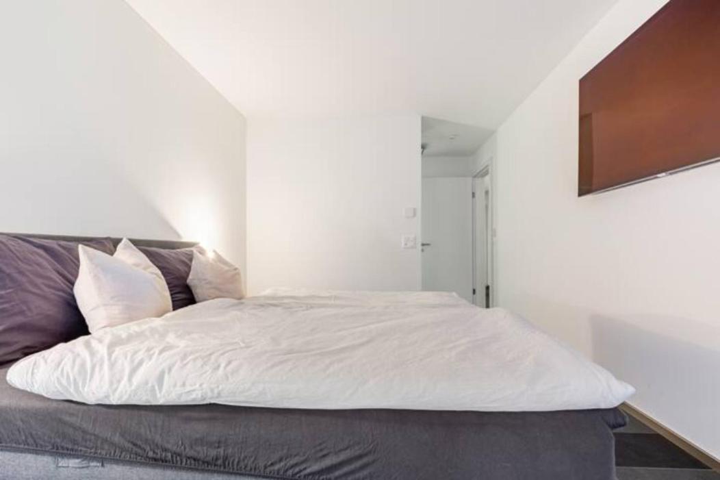 Luxus Wohnung Mit Garten زيورخ المظهر الخارجي الصورة